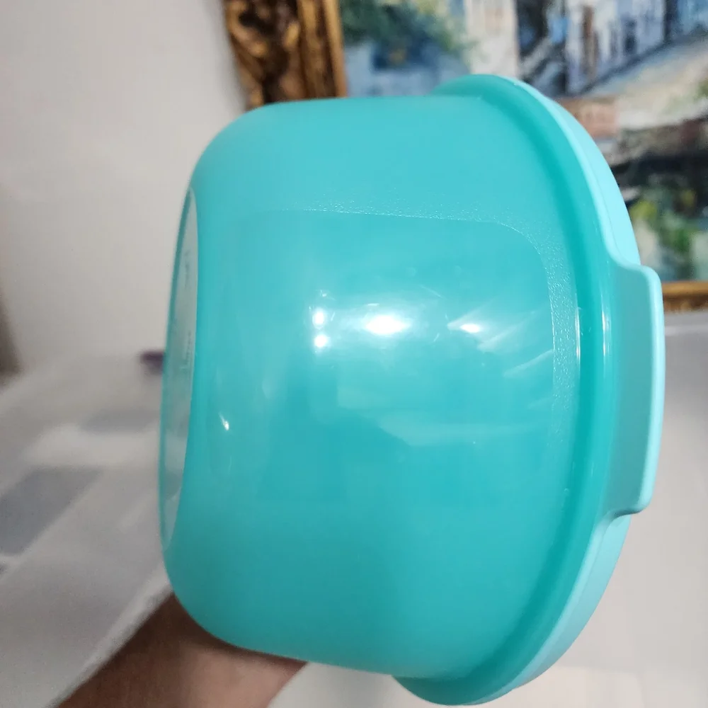 Tupperware Salad & Lunch On the Go Bowl & Utensil Set